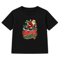 Sleigh All Day Skater adult Christmas t-shirt - Black