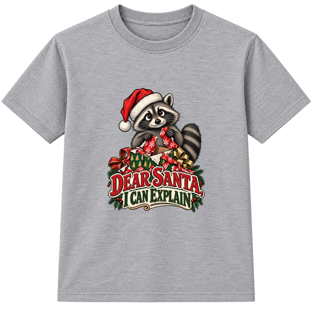 Dear Santa I Can Explain adult Christmas t-shirt - Heather Grey