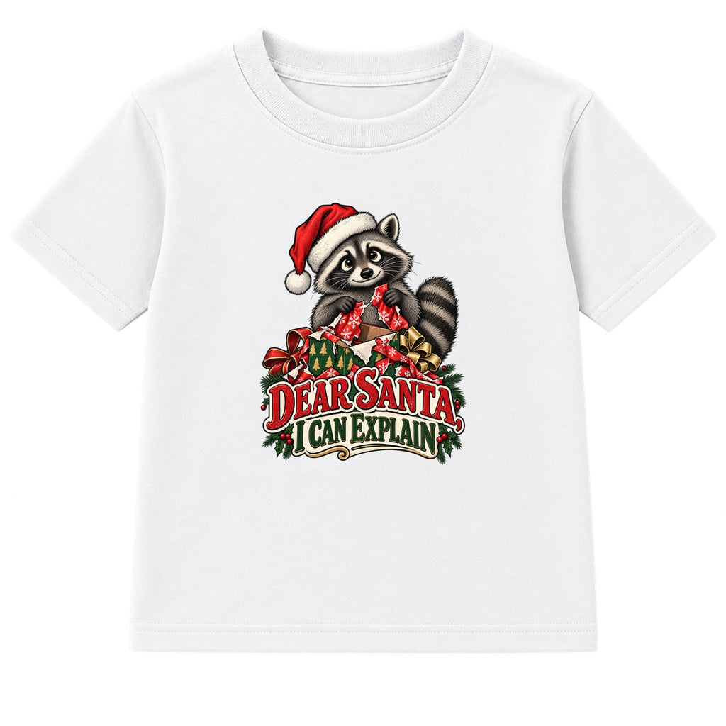 Dear Santa I Can Explain adult Christmas t-shirt - White