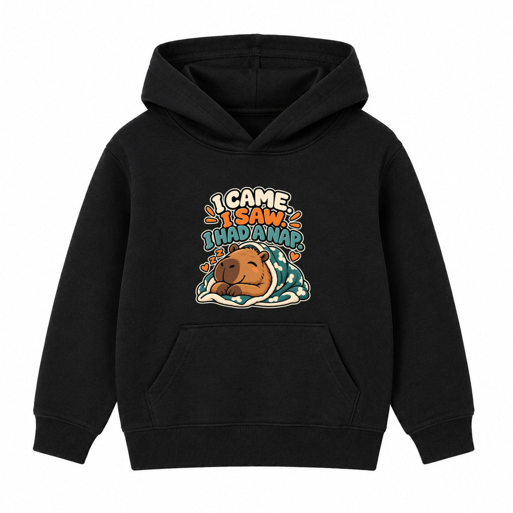 I Came I Saw I Had A Nap adult slogan hoodie - Black