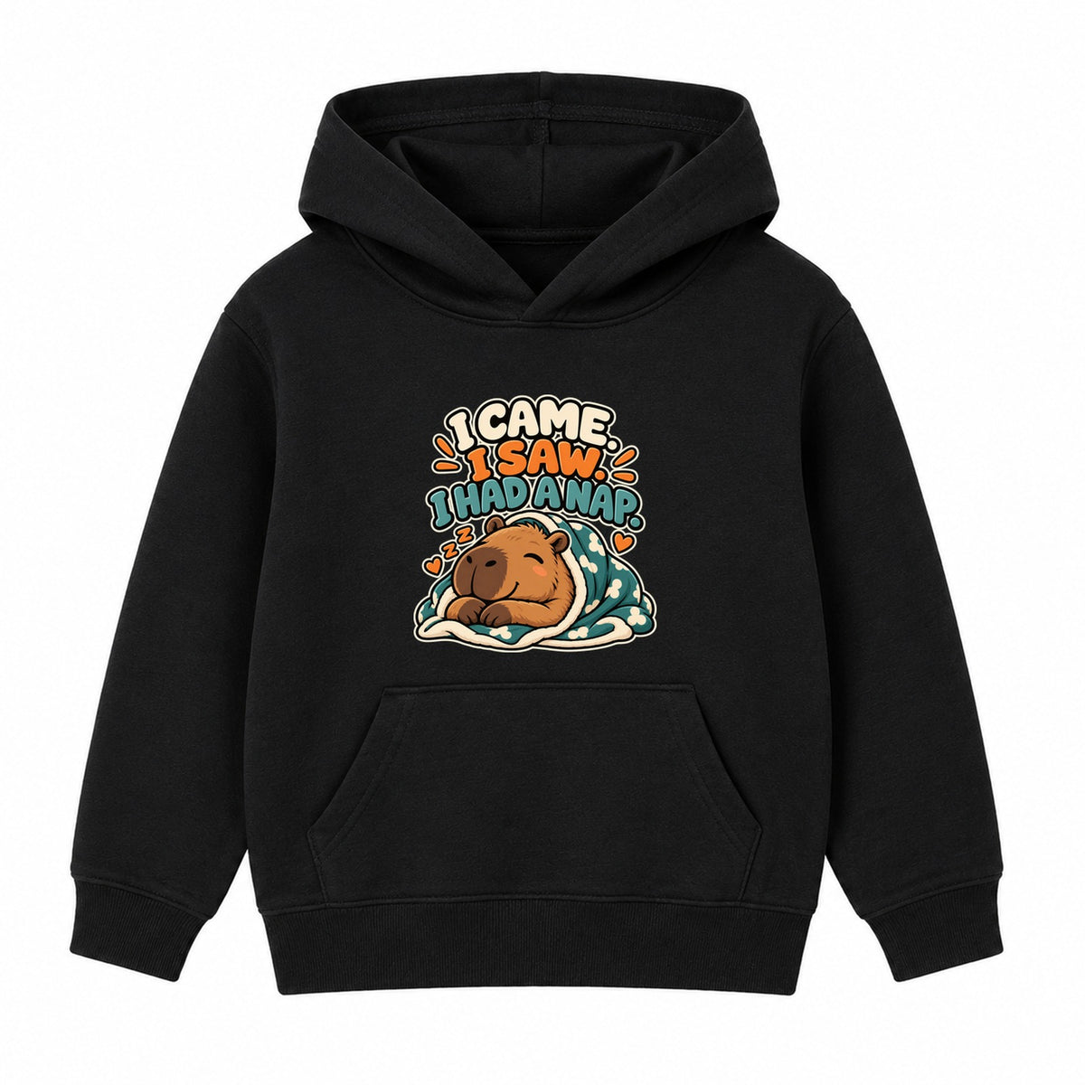 I Came I Saw I Had A Nap adult slogan hoodie - Black