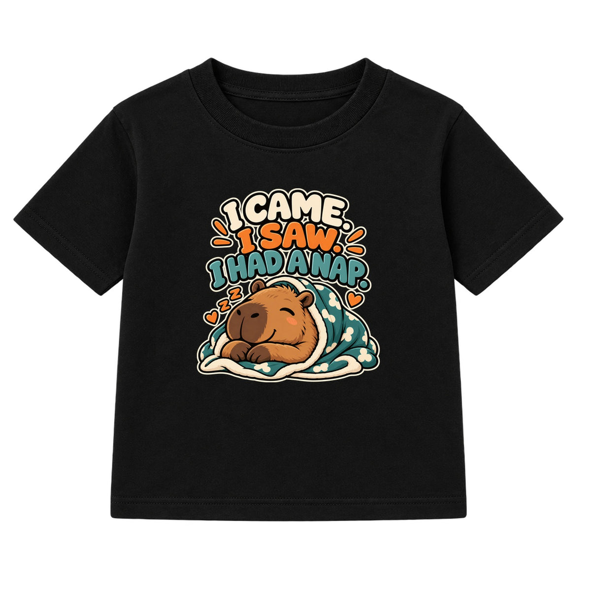 I Came I Saw I Had A Nap adult slogan t-shirt - Black