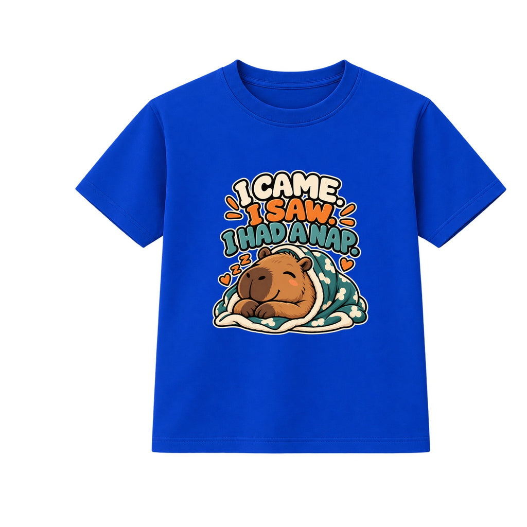 I Came I Saw I Had A Nap adult slogan t-shirt - Blue